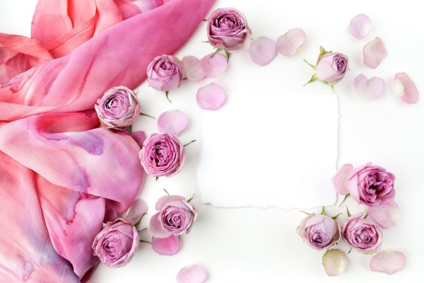 розовые розы фон