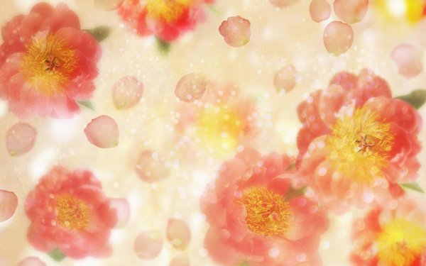 цветочные фоны