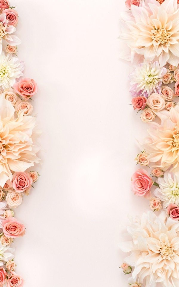 цветочные фоны