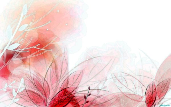 цветочные фоны