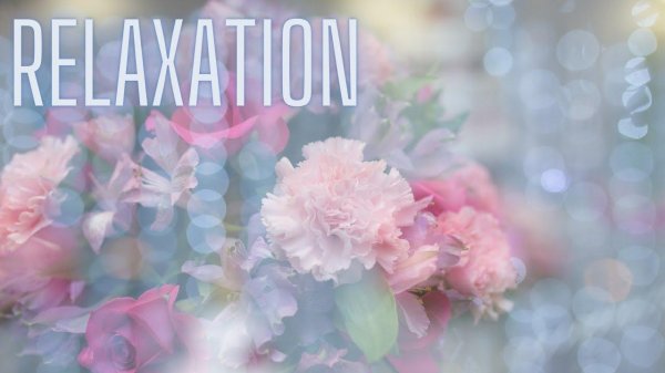 нежный цветок