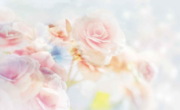 нежные фоны