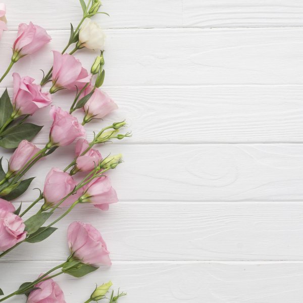 эустома эстетика