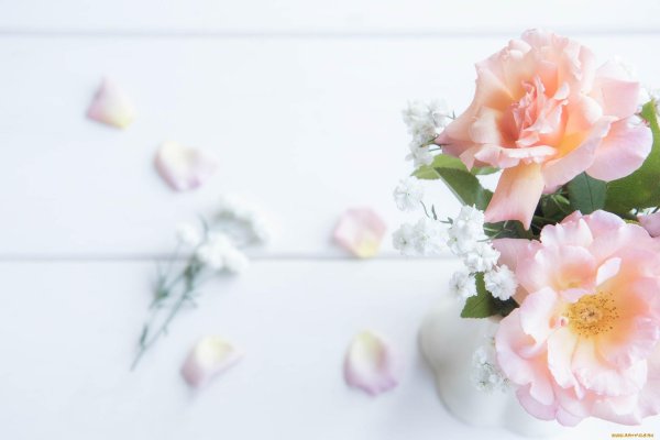 нежные цветочки