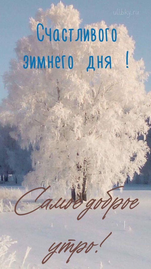 пейзаж зимний