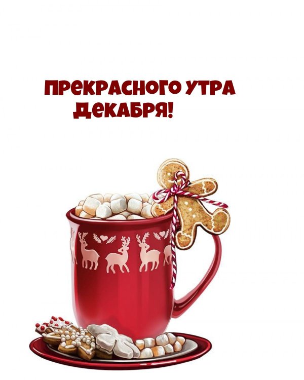 доброе утро декабрь открытки