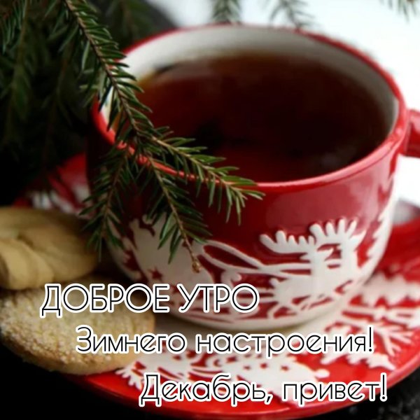 доброго декабрьского утра