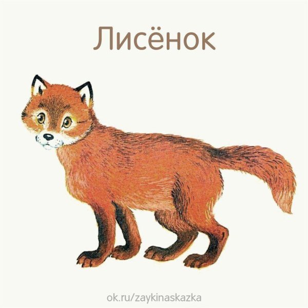 лиса для детей
