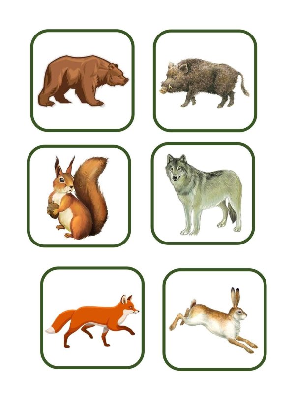 лото дикие животные