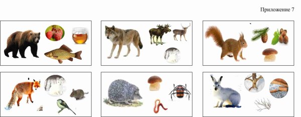 игра кто чем питается дикие животные