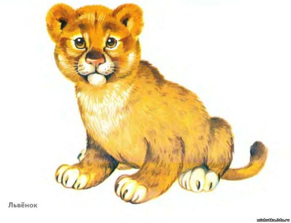 животное для детей