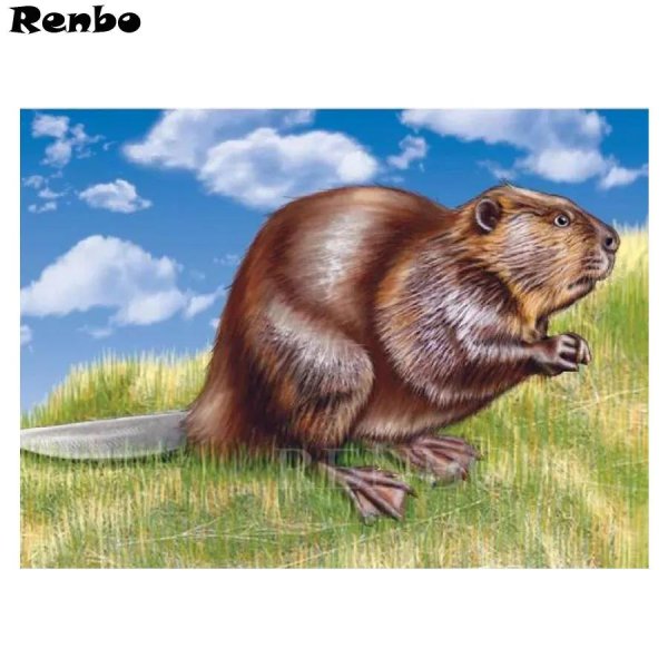 бобр обыкновенный