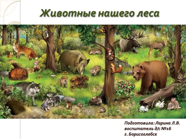 обитатели леса