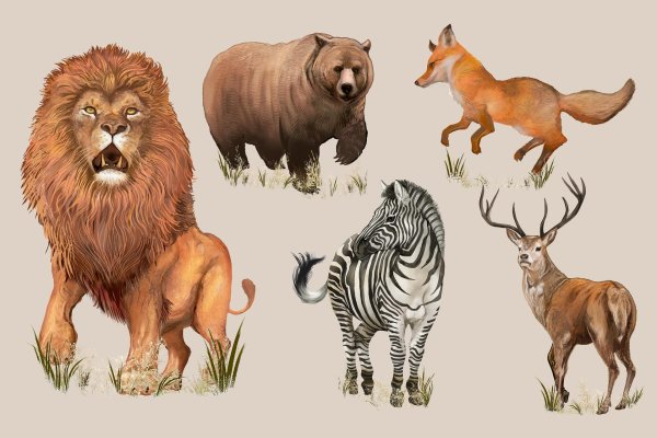 дети диких животных