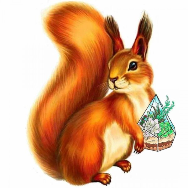 белка рисунки