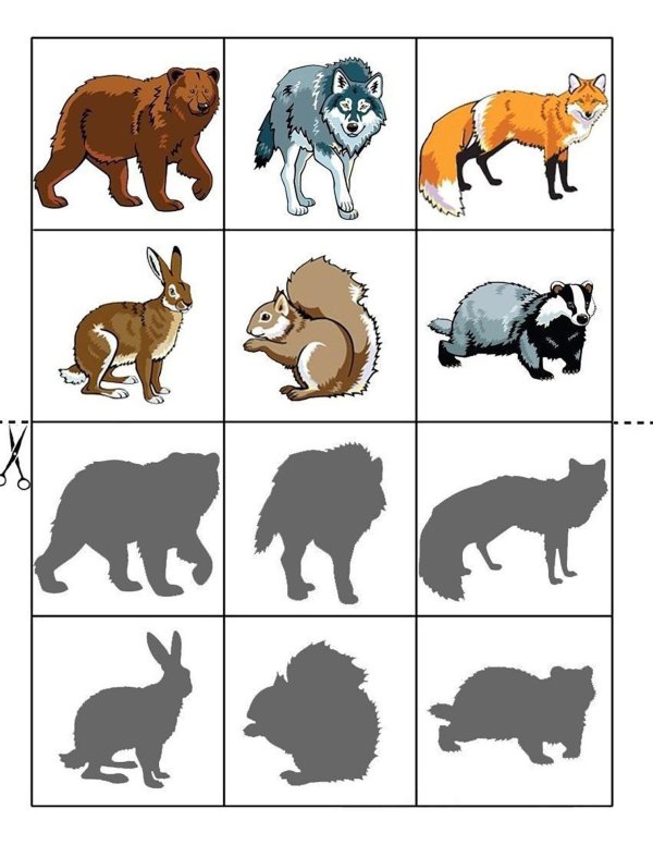 чья тень дикие животные