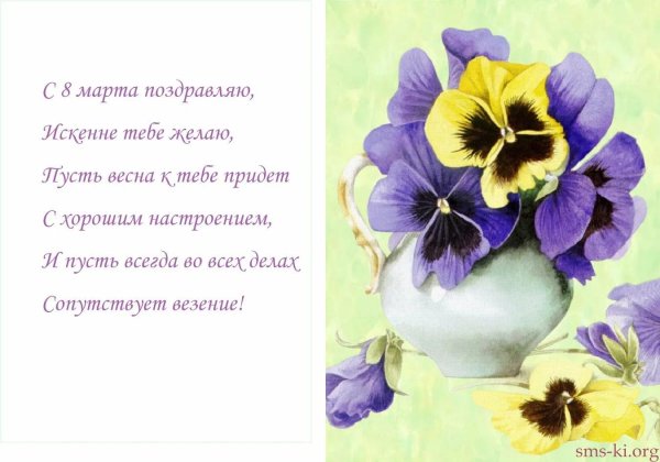 анютины глазки