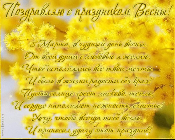 мимоза с 8 марта