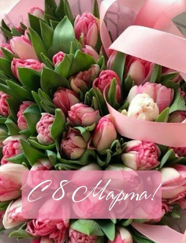 красивое поздравление с 8 марта