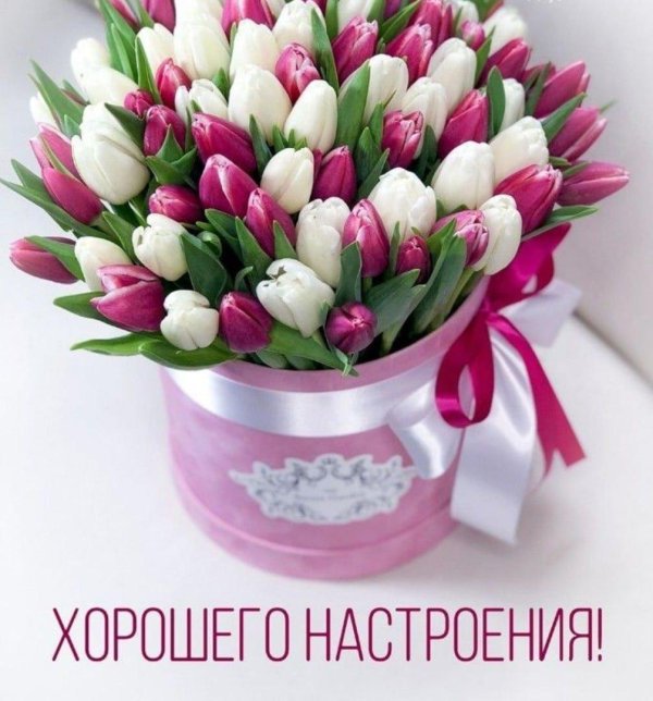 красивые букеты тюльпанов