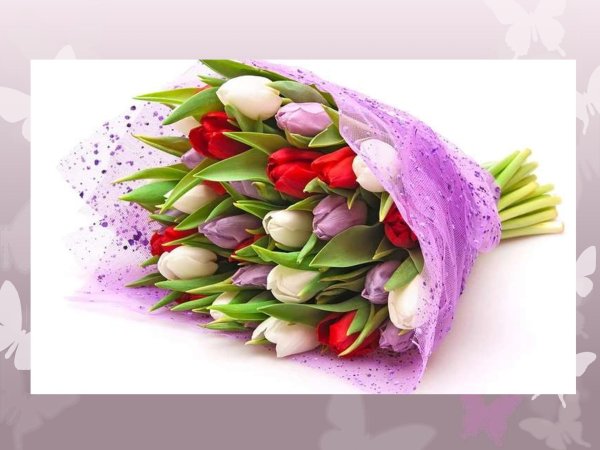 букет тюльпанов открытка
