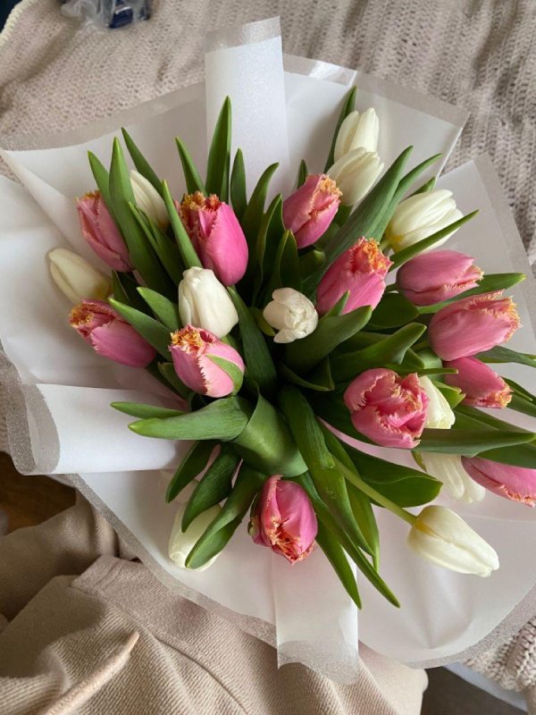 букет бело розовых тюльпанов
