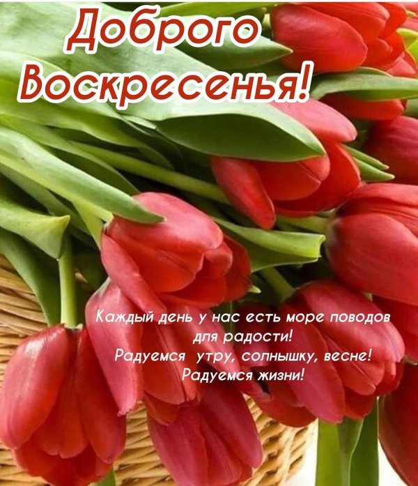 доброго утра хорошего дня и настроения