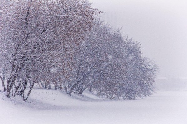 февральские вьюги
