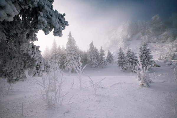 зимние пейзаж