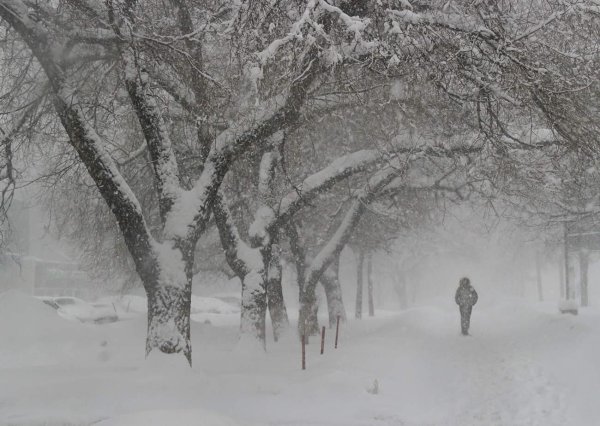 февральские вьюги
