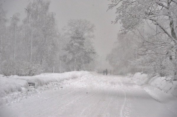 зимняя метель