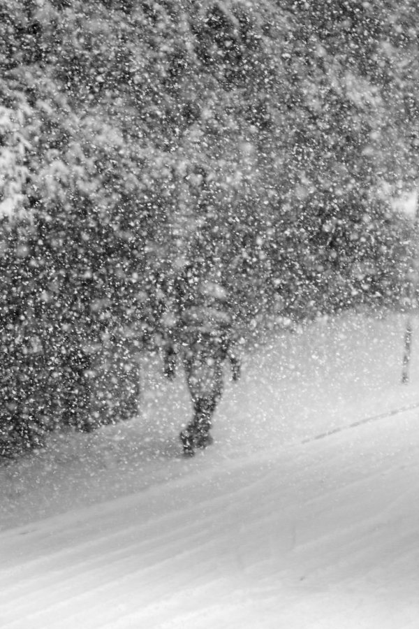 снежный шторм