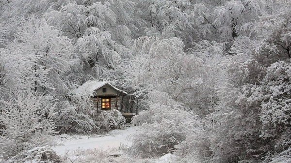 киш манзараси