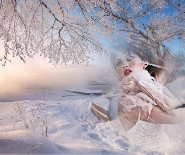 белая вьюга