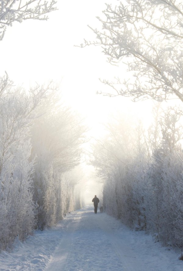 туман зимой