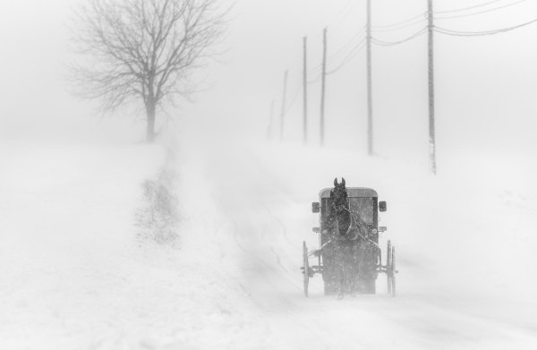 кибитка зимняя