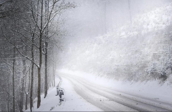 туман зимой на дороге