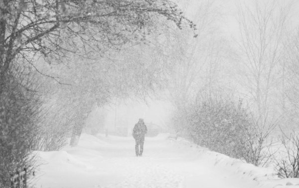 зимний снегопад