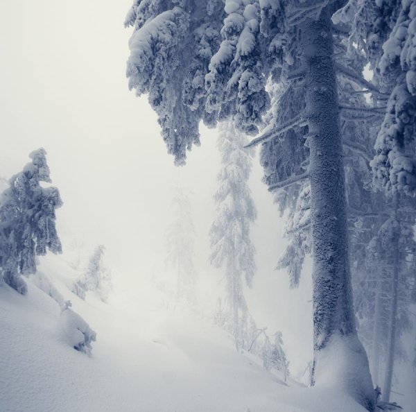 зимние пейзаж