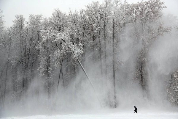 снежная буря