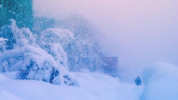 снежный буран