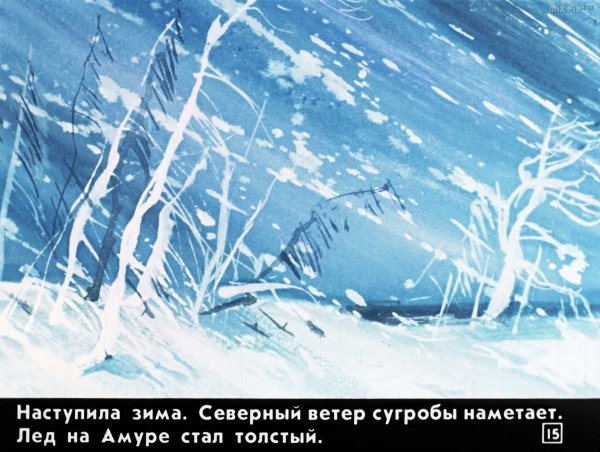 диафильм наши деревья