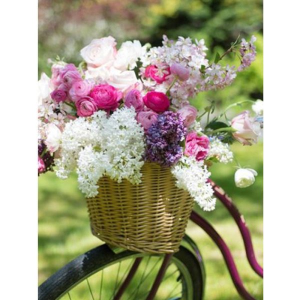 велосипед с корзиной