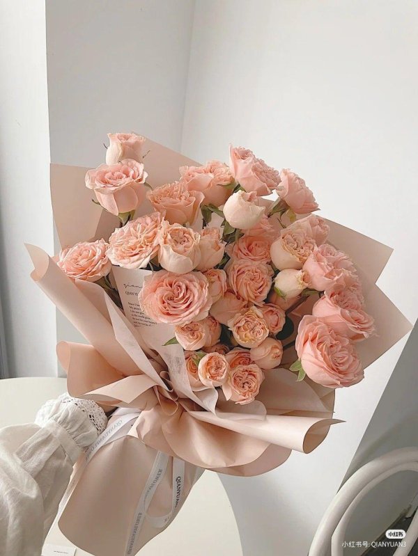 бомбастик роза кустовая