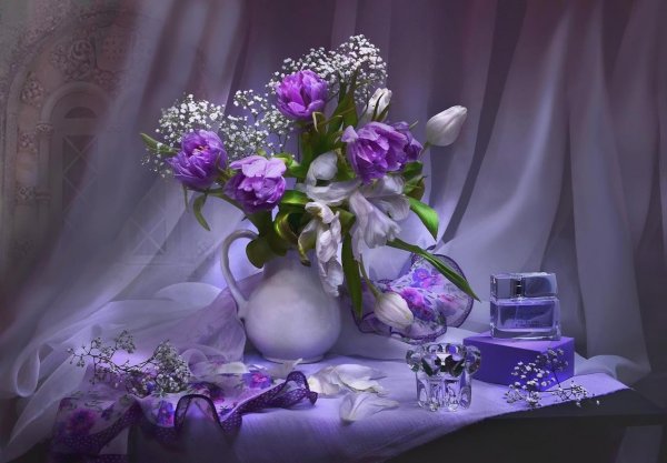 фотонатюрморты валентина колова