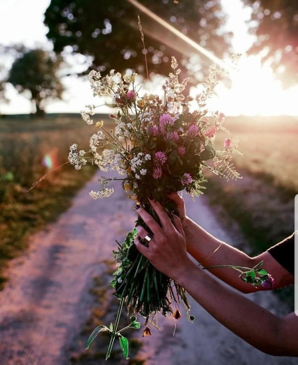 счастье и радости