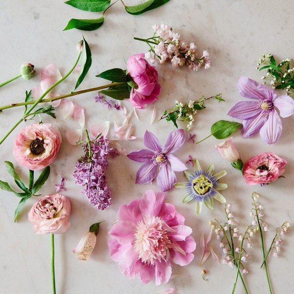 цветок весенний