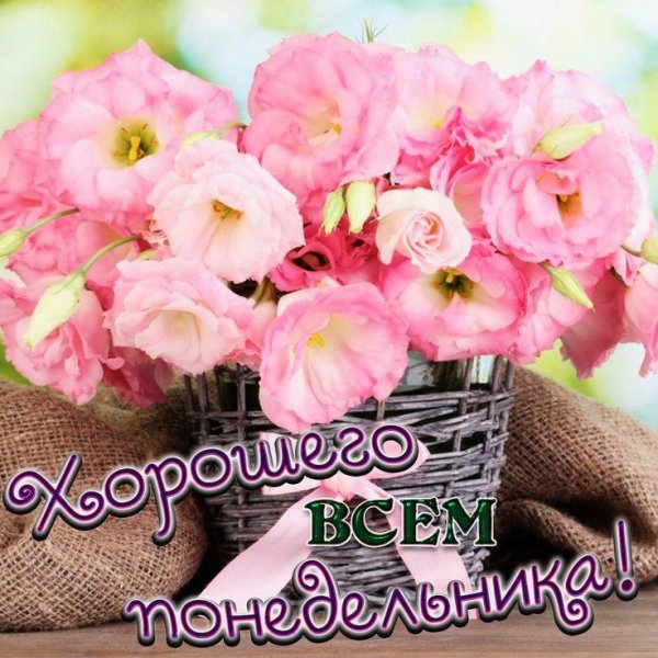 чудесного понедельника и хорошей недели