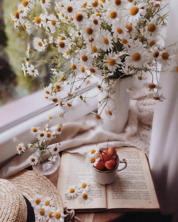 ромашка эстетика