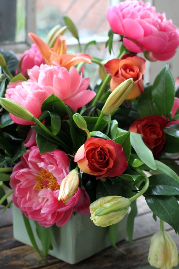 цветок красивый